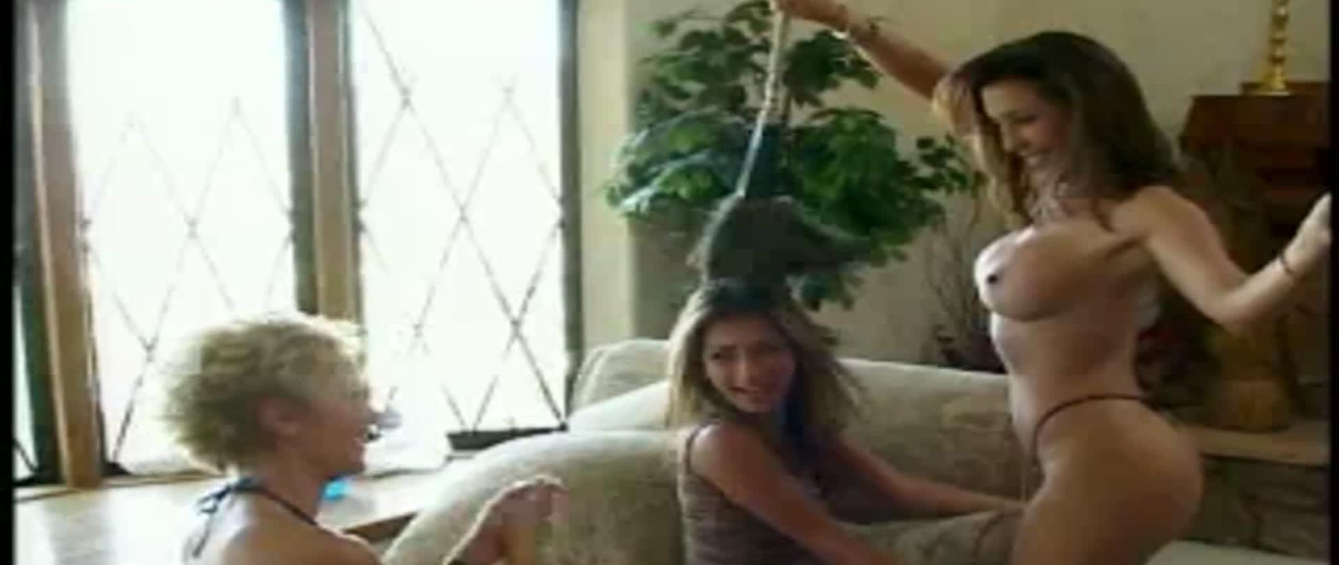 Home Video - Sexy Housekeepers 02
