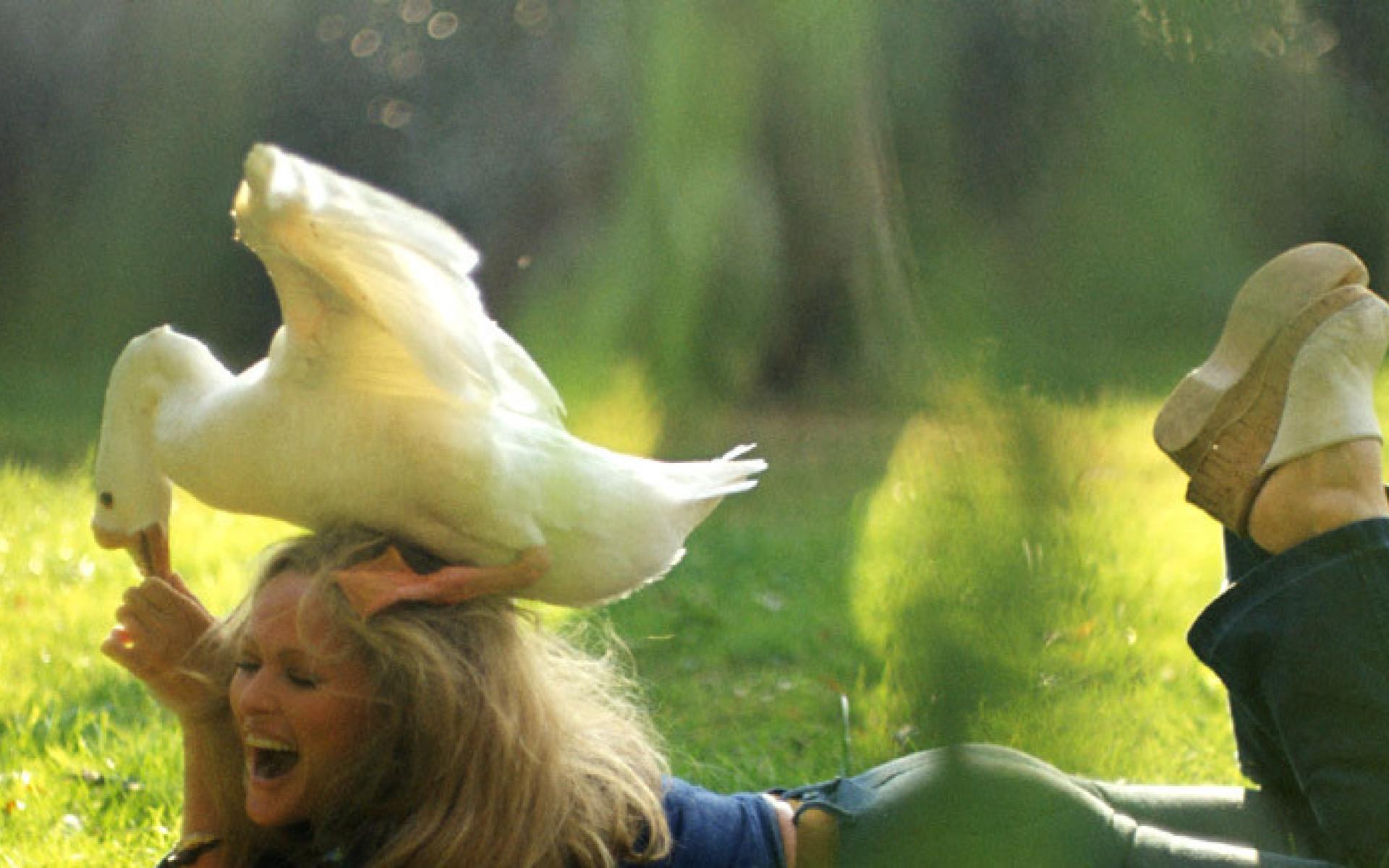 Actresses - Ursula Andress 